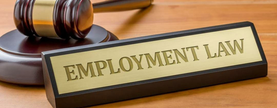 Fresh NZ Employment Law Updates: AEWVs, Amendments and Freight Safety