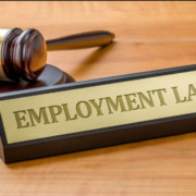 Fresh NZ Employment Law Updates: AEWVs, Amendments and Freight Safety