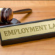 Fresh NZ Employment Law Updates: AEWVs, Amendments and Freight Safety